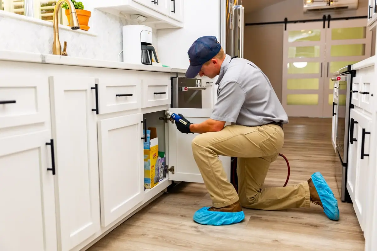Local Exterminator for Homes