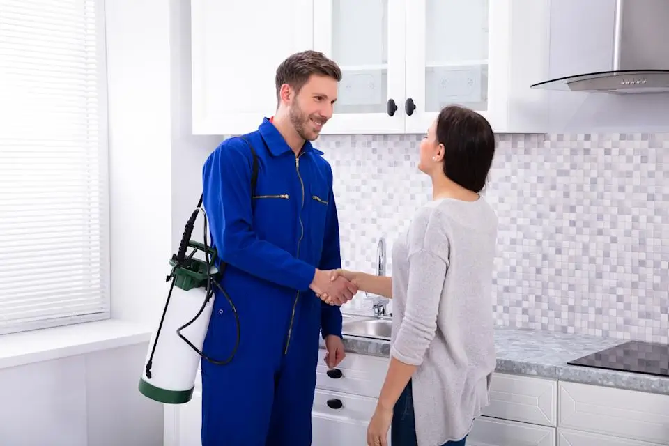 Local Exterminator in Outremont