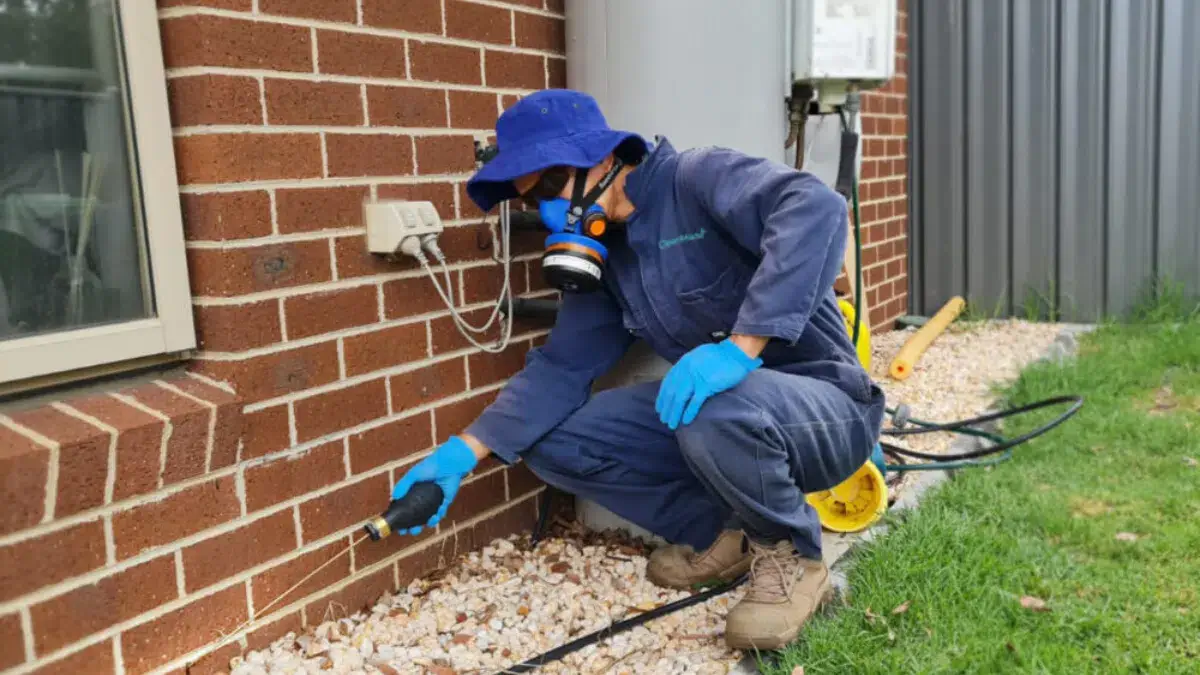 Premium Pest Control for Outremont Homes (1)