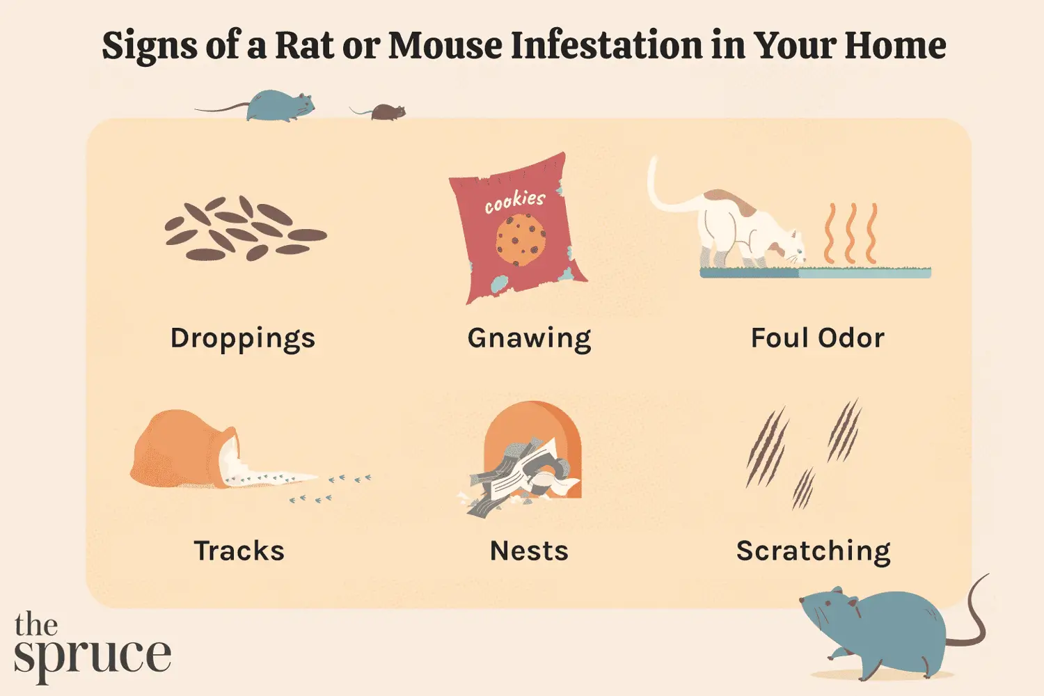 Rat Control for Mont-Royal Properties
